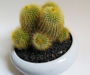 1 (14).jpg