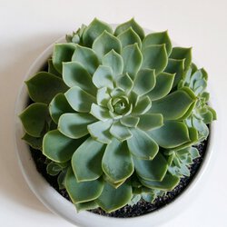 1 (18).jpg