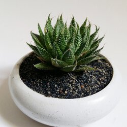 1 (19).jpg