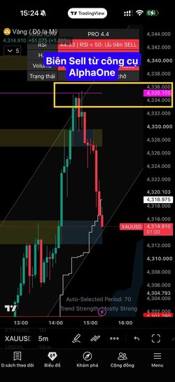 1789639179617_4708734385326206185_g5134772518887370995_926f3d2b5e7a01d39e429ab1531eb76e.jpg
