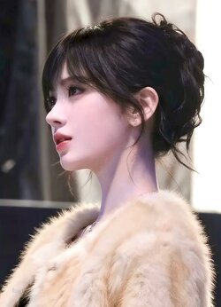 cúc tịnh y 1.jpg