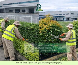 cắt cỏ vệ sinh cảnh quan công ty nhà xưởng  050306 3.jpg