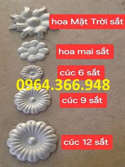 hoa-cuc-dap.jpg