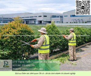06. Dịch vụ cưa cây cắt cỏ doanh nghiệp đồng nai 050226 4.jpg