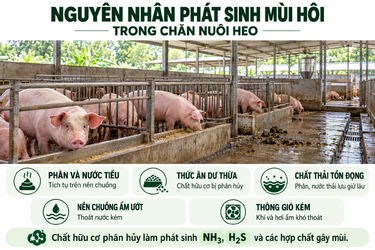 ChatGPT Image Oct 21, 2026, 02_54_02 PM.png
