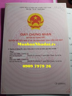 mua ban nha dat chinh chu nat.jpg