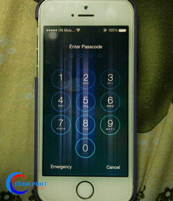 màn iphon sọc.jpg