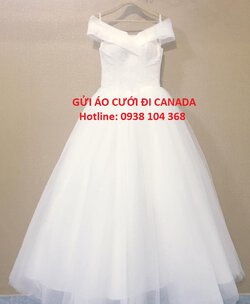 aocuoi1234 - Copy.jpg