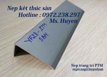 Nẹp kết thúc sàn YF28 - SBM.jpg