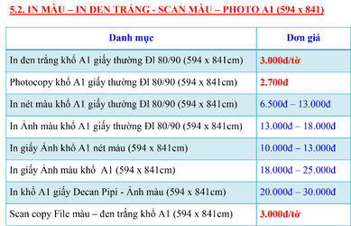 5.2. IN MÀU – IN ĐEN TRẮNG - SCAN MÀU – PHOTO A1 (594 x 841).jpg