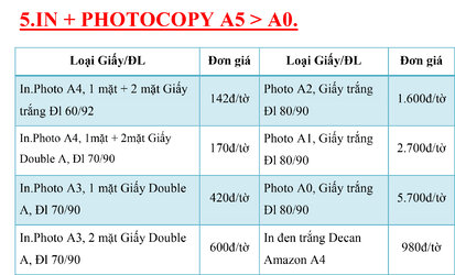 5.IN + PHOTOCOPY A5 - A0.jpg