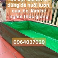 nguyentienlinh641