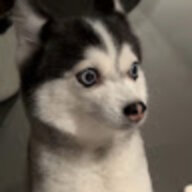 PhamuhT