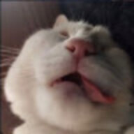 Jiruy