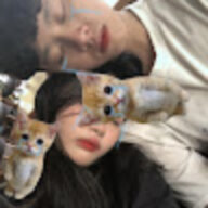 cáo and myloan