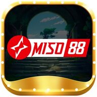 miso88art1