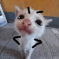 sjjdhhw