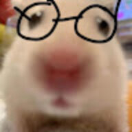 hoacongacon