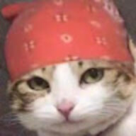tranthivannhat