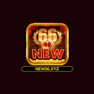 new66xyz