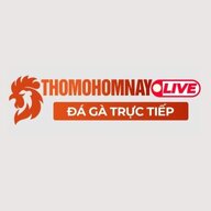 thomohomnaylive