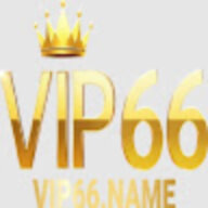 V ip 66 n