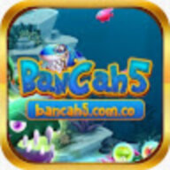 Bancah5comco1