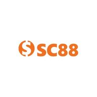 vnsc8_8net