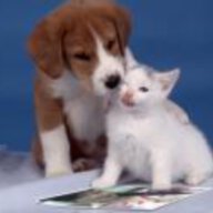 emgaiquenha_thanhhang