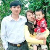 quynh dao