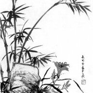 Nguyễn Thành Anh