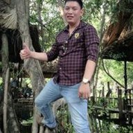 mạnh quý