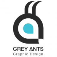 GREY ANTS