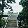 hongngoc_2101
