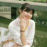 Như Mai Nở Rộ