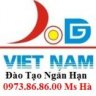 vuhatuyensinh