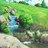 Wun_1202