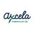 AXCELAVIETNAM