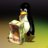david_hoai