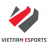 Vietnam Esports VED
